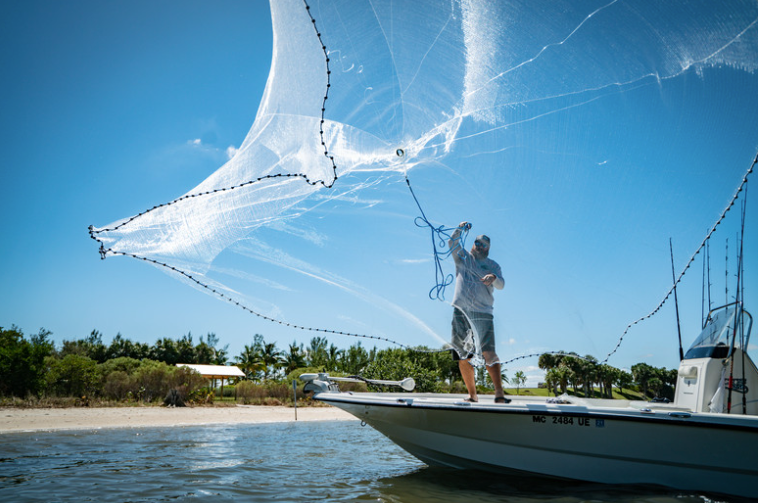 Cast Net 10' 15lb